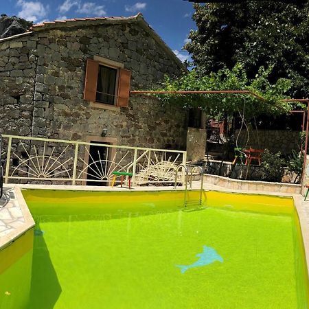 Ethno House Ivanovic Virpazar Zewnętrze zdjęcie