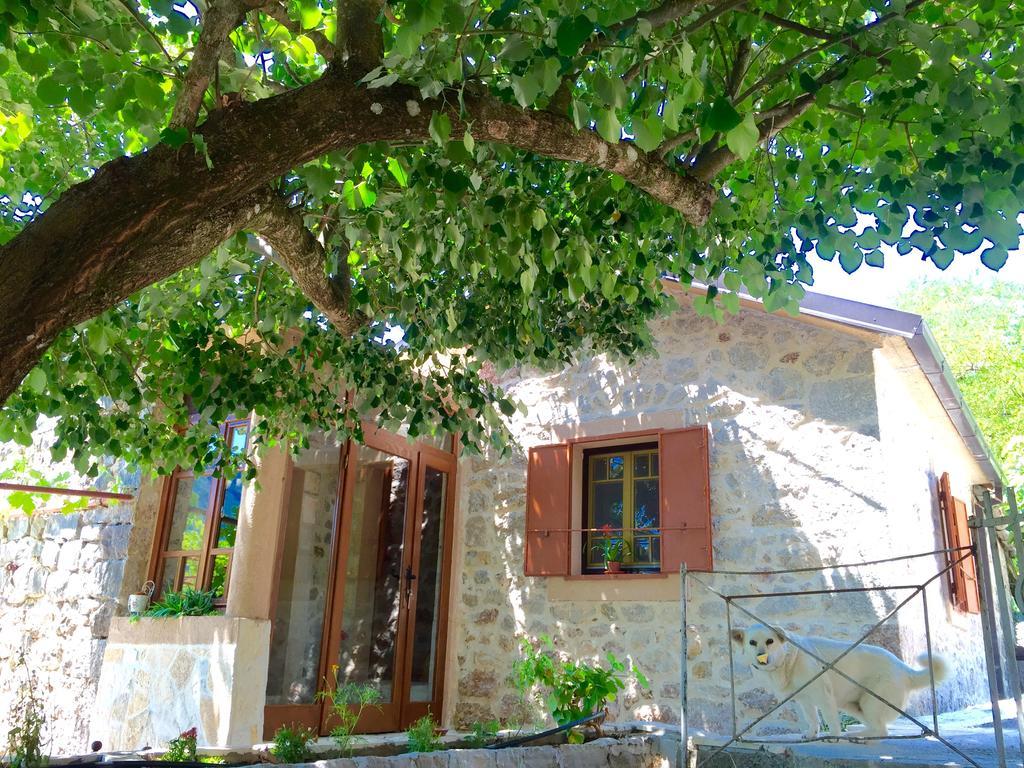 Ethno House Ivanovic Virpazar Zewnętrze zdjęcie